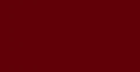 HPL-панель 0114 Bordo Slotex 1320х3050 / 1320х4200