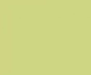 HPL-панель 1016 Pistachio Slotex 1320х3050 / 1320х4200
