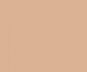 HPL-панель 1019 Salmon Slotex 1320х3050 / 1320х4200