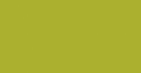 HPL-панель 1067 Lime Slotex 1320х3050 / 1320х4200