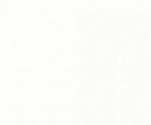 HPL-панель 1111 White Slotex 1320х3050 / 1320х4200