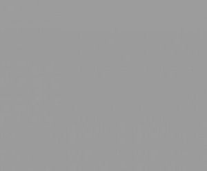 HPL-панель 1479 Silvery Slotex 1320х3050 / 1320х4200
