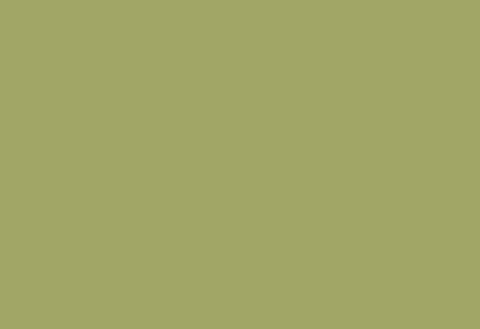 HPL-панель 1300х3050 для чистых помещений LM 0017 Фисташковый (Clean Room Overlay КМ1)